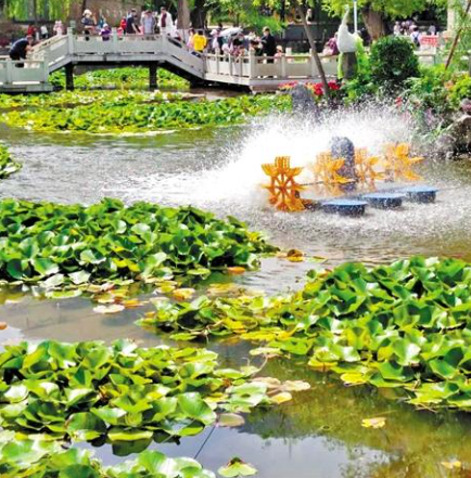 走，到五泉山公園看花展去