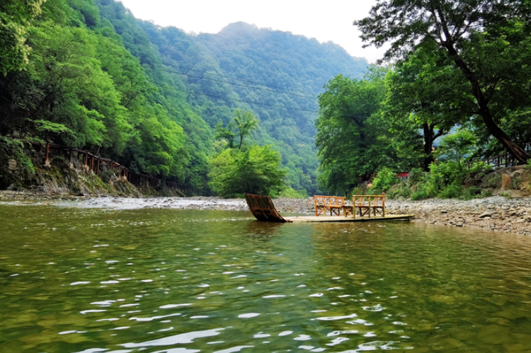 【小隴畫(huà)報(bào)·95期】康縣：來(lái)陽(yáng)壩，“森”呼吸，我“氧”你