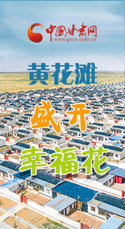 【跟著總書記看甘肅】長圖|武威黃花灘盛開幸?；?