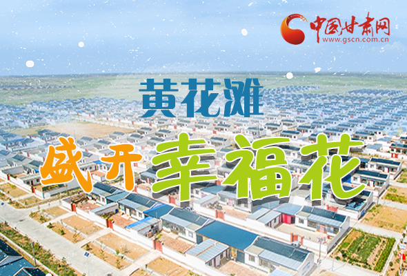 【跟著總書記看甘肅】長圖|武威黃花灘盛開幸?；?