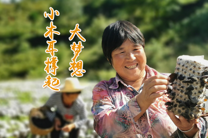 海報丨他們，乘“豐”破浪！