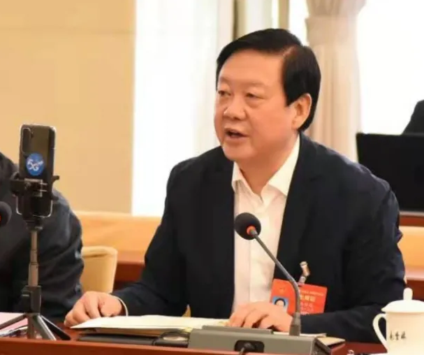 【聚焦2021全國兩會】全國人大代表、市委書記楊維俊接受中國日報記者采訪