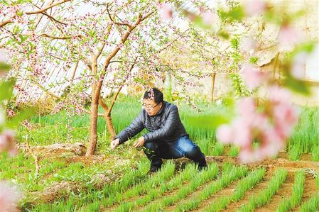 甘肅：時令催人耕種忙，不誤田間一季春