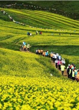 甘肅明確農(nóng)民進(jìn)城落戶:不以退出承包地、林地等為條件
