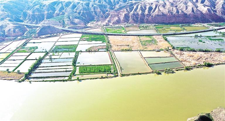 臨夏州永靖縣充分利用黃河三峽豐富的水資源大力發(fā)展特色水產養(yǎng)殖