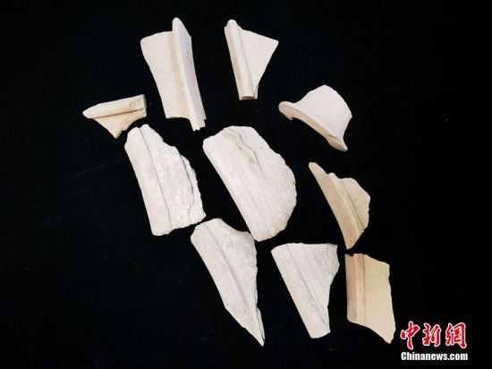 圖為靜寧縣賈河鄉(xiāng)竇坪村出土的彩陶片、紅陶片。 夏劍鋒 攝