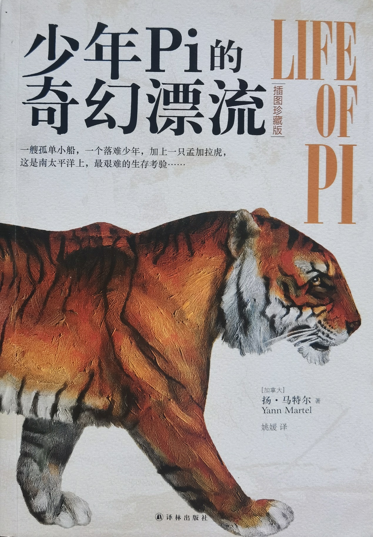 插圖1：揚(yáng)？馬特爾的小說《少年pi的奇幻漂流》封面
