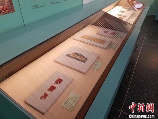 圖為展覽現(xiàn)場?！《鼗脱芯吭汗﹫D