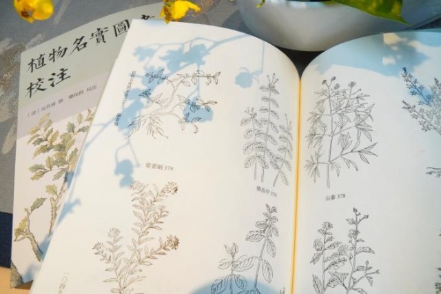 《植物名實(shí)圖考校注》內(nèi)頁。圖片來源：中華書局供圖