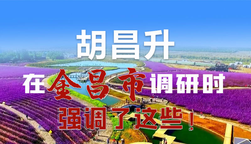 圖解|胡昌升在金昌市調(diào)研時強調(diào)了這些！