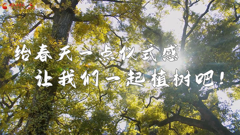 短視頻|給春天一點(diǎn)儀式感，讓我們一起植樹吧！