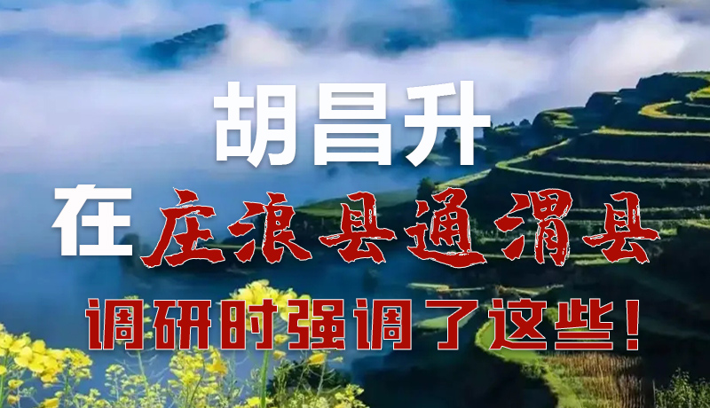 圖解|胡昌升在莊浪縣通渭縣調(diào)研時強(qiáng)調(diào)了這些！