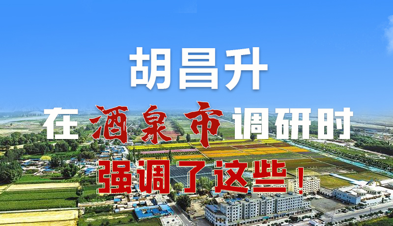 圖解|胡昌升在酒泉市調(diào)研時強調(diào)了這些！
