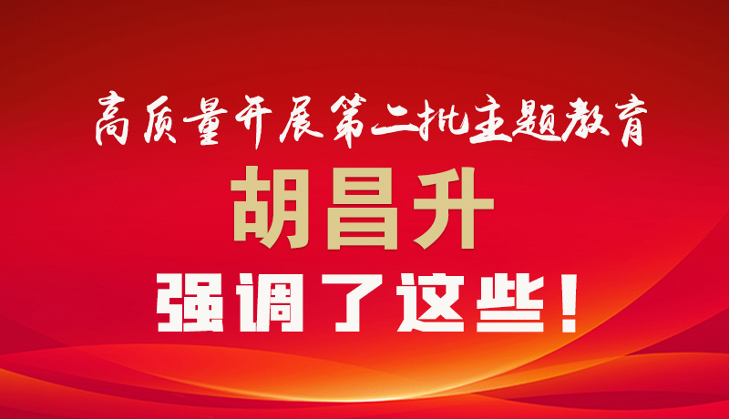 圖解|高質量開展第二批主題教育 胡昌升強調了這些！