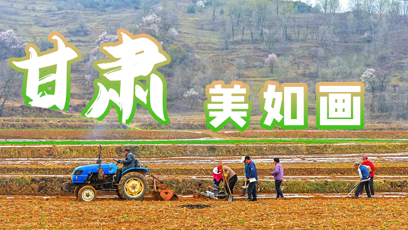 微海報|甘肅，美如畫