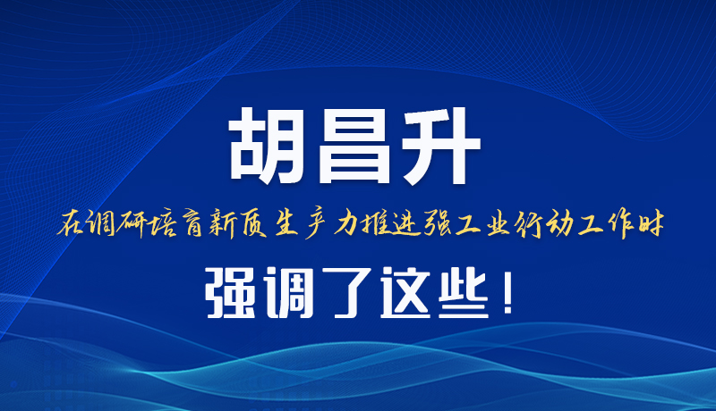 圖解|胡昌升在調(diào)研培育新質(zhì)生產(chǎn)力推進強工業(yè)行動工作時強調(diào)了這些！