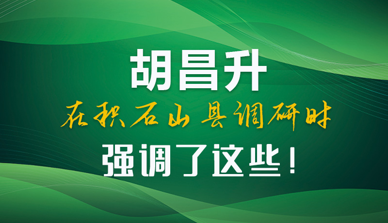 圖解|胡昌升在積石山縣調(diào)研時強調(diào)了這些！