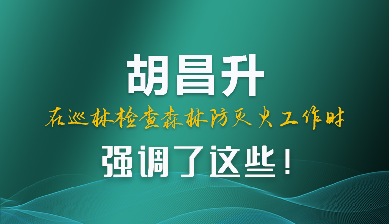圖解|胡昌升在巡林檢查森林防滅火工作時(shí)強(qiáng)調(diào)了這些！