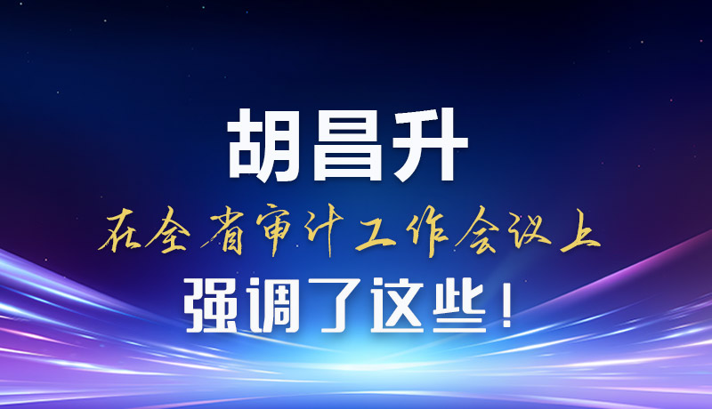 圖解|胡昌升在全省審計(jì)工作會(huì)議上強(qiáng)調(diào)了這些！