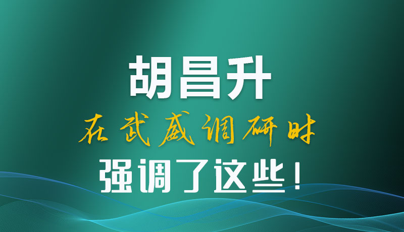 圖解|胡昌升在武威調(diào)研時強調(diào)了這些！