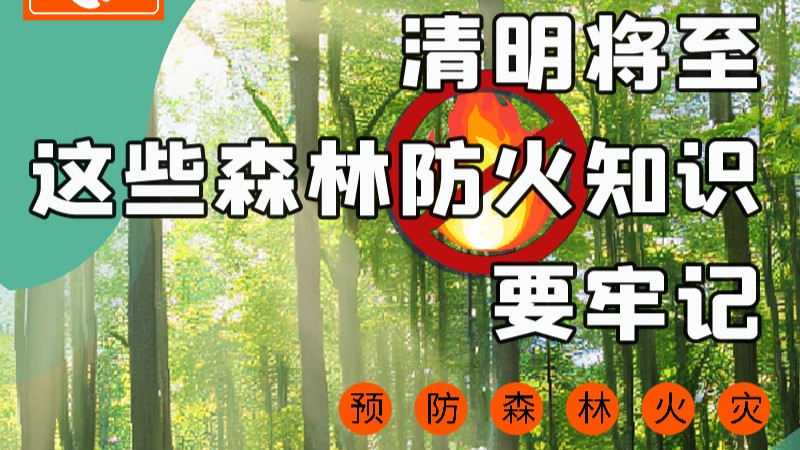【甘快看】圖解|緊繃“安全弦”！清明，這些森林防火知識要牢記